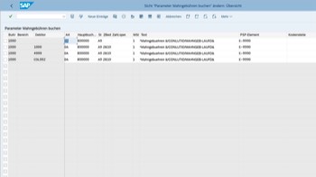 Parameter für Positionstext und Kontierungsinformationen